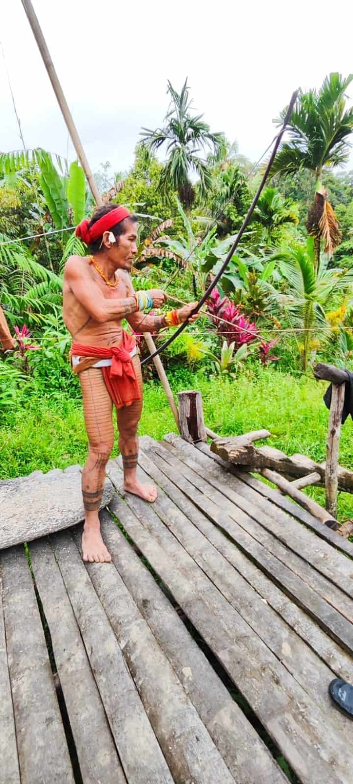 Panah beracun tradisional — alat berburu masyarakat adat Mentawai